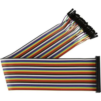 JOY IT Joy-it RB-CB2-030 C&acirc;ble de cavalier Raspberry Pi&reg; [40x Pontage filaire de prise femelle - 40x Pontage filaire de prise femelle] 30.00 cm multicolore avec 