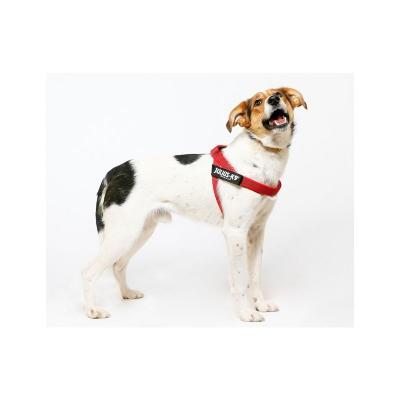 JULIUS K9  IDC Harnais pour chiens Taille 1 Rouge 16501-IDC-R-2015