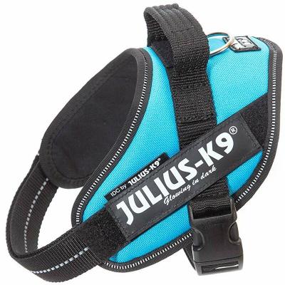 JULIUS-K9 Harnais IDC&reg; Power, aigue-marine, taille : S