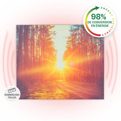 KLARSTEIN Radiateur Infrarouge Mural Wonderwall Air Art Infinite 60x50 cm 300W