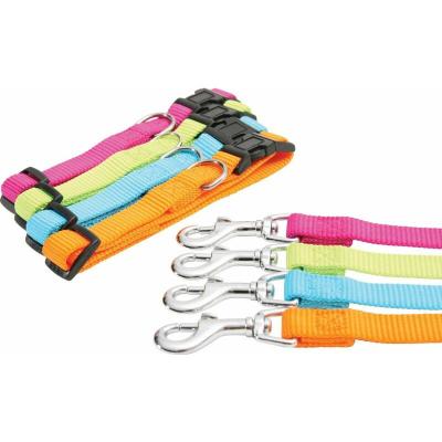 ZOLUX  Laisse en Nylon pour Chien Turquoise 20 mm