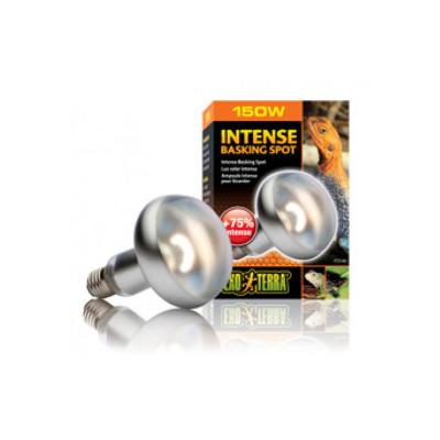 EXO TERRA Lampe chauffante Intense Basking Spot  150 W
