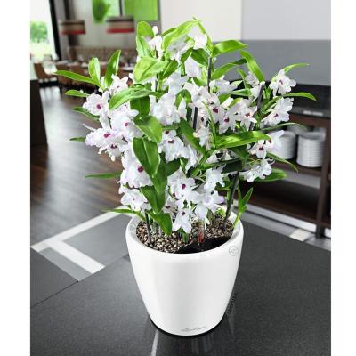 LECHUZA  - Pot Classico Premium 21 Kit Complet Blanc brillant - 21 cm - Blanc brillant