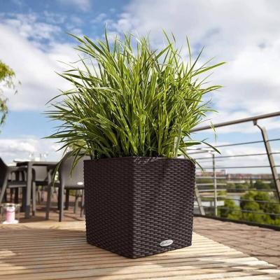 LECHUZA Pot Cube Cottage 30  Kit Complet 30 cm - Chocolat - Chocolat