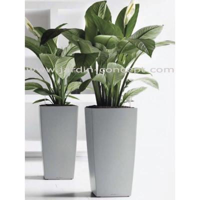 AUTRES Lechuza - Cubico Premium 30 - kit complet,argent m&eacute;tallis&eacute; 56 cm