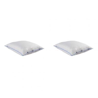 NON RENSEIGNE Lot de 2 oreillers moelleux duvet de canard anti-allerg&egrave;nes Someo 60x60