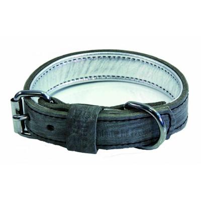 MARTIN SELLIER Collier Pour Chien En Cuir  Dakota 25/45 Cm Mixte Dor&eacute;