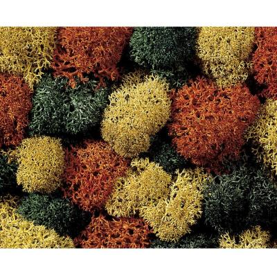 NOCH  - 08620 - Mod&eacute;lisme Ferroviaire - Outil - Mousse D'automne - Assorti - 75 G-
