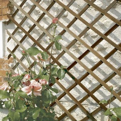 NORTENE  Treillis en bois FSC extensible TRELLIWOOD - 1 x 2 m - Marron