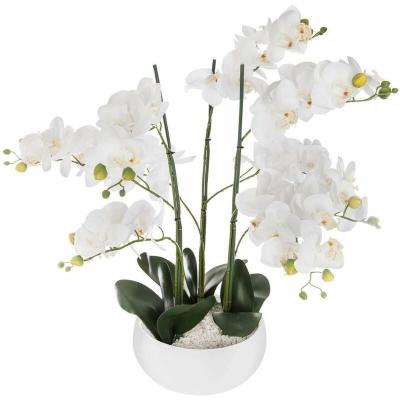 ATMOSPHERA  Orchid&eacute;e artificielle, pot c&eacute;ramique blanc H65 cm  - Blanc