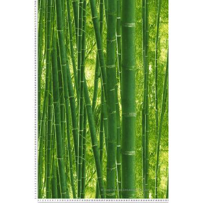 A.S. CREATIONS A.s.creations - Papier peint v&eacute;g&eacute;tal vert nature Tapisserie motif bambou vert trompe l'oeil Papier peint original pour bureau & entr&eacute;e