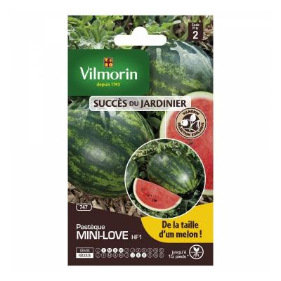 VILMORIN  - sachet graines Past&egrave;que mini love HF1 