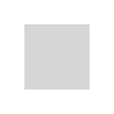 Peinture anti-condensation mur et plafond mat 2.5 L - blanc