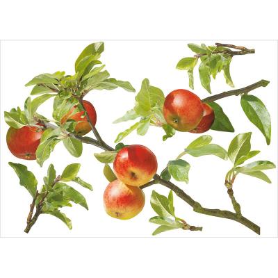 PLAGE Sticker Autocollant D&eacute;co Murale, Branche de Pommier Naturelle 48x68cm, Nature et Naturelle pour D&eacute;co Int&eacute;rieure et Ext&eacute;rieure. 