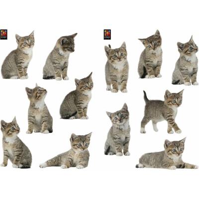 PLAGE D&eacute;coration adh&eacute;sive  157102 Sticker Mural - Chats, 2 Planches, 29,7 x 21 cm