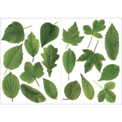 PLAGE D&eacute;coration adh&eacute;sive  157135 Sticker Mural - Herbier, 2 Planches, 29,7 x 21 cm