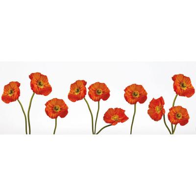 PLAGE D&eacute;coration adh&eacute;sive Pavots, Polyvinyle, Orange, 21 x 0.1 x 29.6 cm