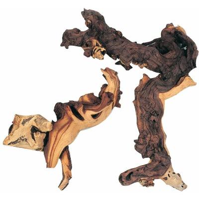 ZOLUX  D&eacute;coration naturelle racine maupani L - Pour aquarium