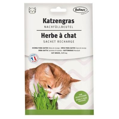 BUBIMEX Recharge herbe &agrave; chat  100g