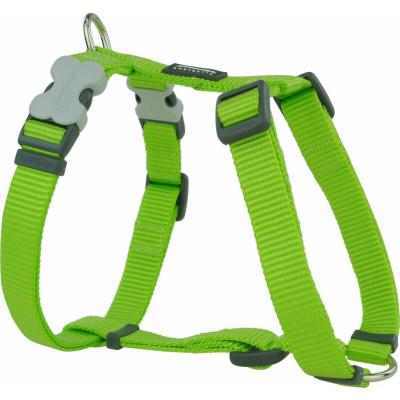 RED DINGO Harnais chien r&eacute;glable  Basic Vert Taille : T1 - Vert