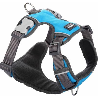 RED DINGO  - Harnais chien rembourr&eacute; Turquoise Taille : T3 - Turquoise