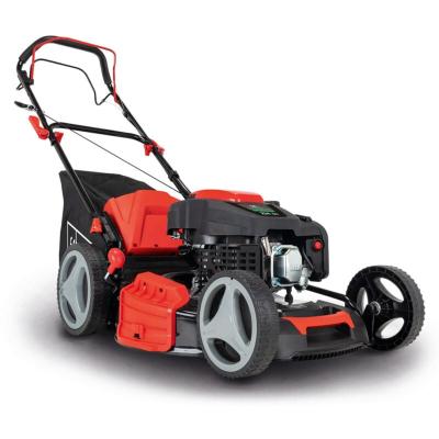 SCHEPPACH Tondeuse thermique autotract&eacute;e  - 53 cm - 224 CC - MS225-53