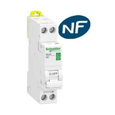 SCHNEIDER ELECTRIC Disjoncteur courbe D phase + neutre Resi9 xp  10 A