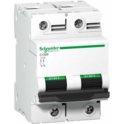 SCHNEIDER ELECTRIC Disjoncteur 100 A - C120N - 2P - Courbe C - 10 kA