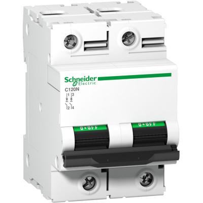 SCHNEIDER ELECTRIC Disjoncteur 80 A - C120N - 2P - Courbe C - 10 kA
