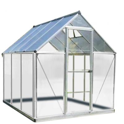 Palram - Canopia Serre de jardin Hybrid 4,6m2 Verte