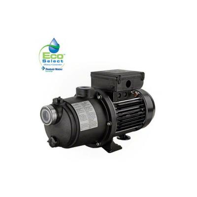 STA RITE Surpresseur Pentair Boost Rite 1 cv monophas&eacute;