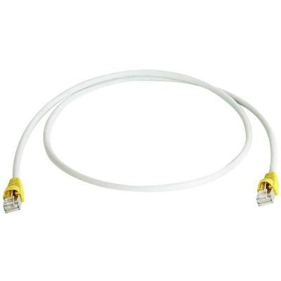 TELEGARTNER C&acirc;ble de raccordement r&eacute;seau informatique RJ45 (crois&eacute;) L00000A0102 CAT 6a S/FTP gris 0.50 m 