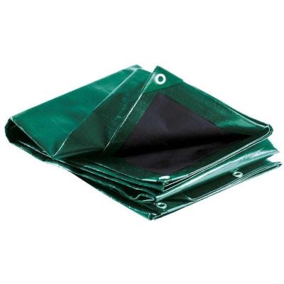TERRE JARDIN  B&acirc;che &eacute;paisse ultra r&eacute;sistante 3 x 5 m 240 g/m2 - Imperm&eacute;able anti uv b&acirc;che de protection