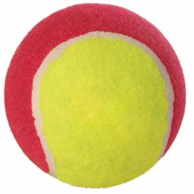 MON ANIMALERIE Trixie 3476 12 balles de tennis, diam&egrave;tre 10 cm, assorties