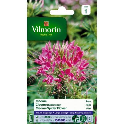 VILMORIN  - Sachet graines Cl&eacute;ome Rose