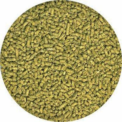 ZOOMED Zoo Med Natural Alimentation pour Jeune Dragon Barbu 283 g