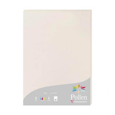 POLLEN Clairefontaine Etui De 25 Feuilles 210x297 Gris Perle 210g