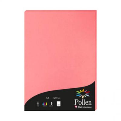 POLLEN Papier  A4 50 feuilles - Litchi -  by Clairefontaine - Litchi