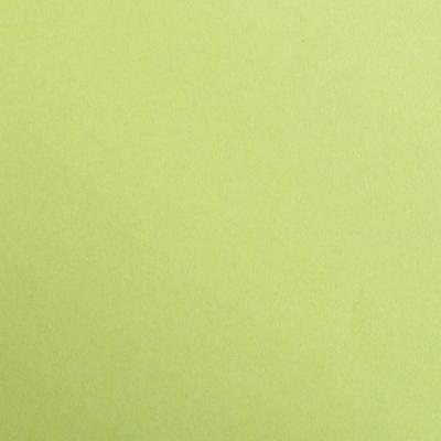 CLAIREFONTAINE Feuille Maya - Mousse - 270g - 50x70cm