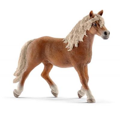 SCHLEICH Figurine cheval : &eacute;talon haflinger