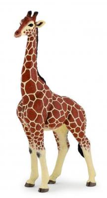 PAPO  - 50149 - Figurine - Girafe M&acirc;le