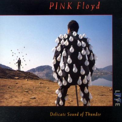 Delicate Sound Of Thunder (2 CD)
