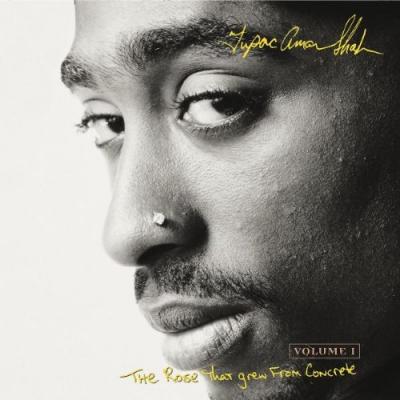 The Rose That Grew from Concrete Vol 1