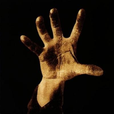 Fournisseur Cultura System Of A Down
