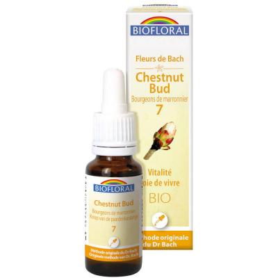 BIOFLORAL  07 - Chestnut Bud - Bourgeons marronnier - 20 ml