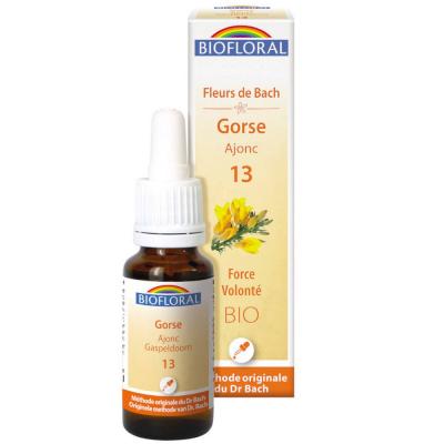 BIOFLORAL France Herboristerie FLEURS DE BACH n&deg;13 Gorse, Ajonc