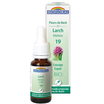 BIOFLORAL France Herboristerie FLEURS DE BACH n&deg;19 Larch, M&eacute;l&egrave;ze