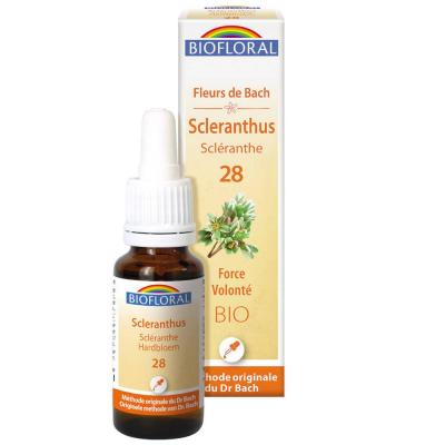 BIOFLORAL France Herboristerie FLEURS DE BACH n&deg;28 Scleranthus, Scl&eacute;ranthe