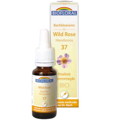 BIOFLORAL France Herboristerie FLEURS DE BACH n&deg;37 Wild Rose, Eglantier