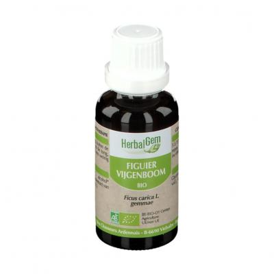 HERBALGEM Figuier bio Flacon compte gouttes  Gemmobase